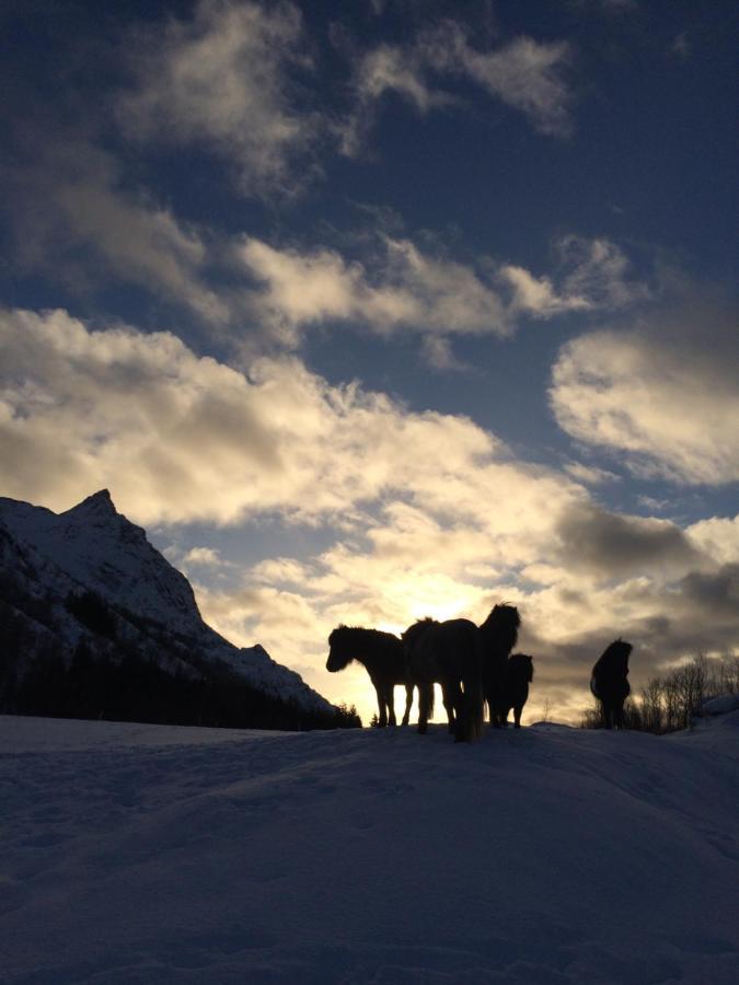 Flo Lofoten Nature Escape Valberg Exteriér fotografie